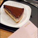 술바라기