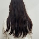 영's헤어 이미지