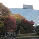 그랜드한의원 이미지