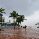 커피담다 이미지