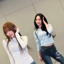 카리나