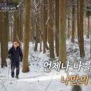 카페고백