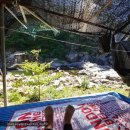 세이암산장 이미지