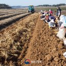 하나농산물 이미지