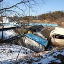 1398목장 이미지