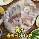 [광양] 중마시장 소문난 횟집 &#39;16번 청해수산&#39; 현지인 내돈내산