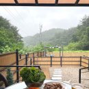 꼬로몽 | 양양 애견동반 숙소, 드넓은 마당과 역대급 깨끗한 '꼬로몽 애견 펜션'