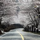 ’Beethoven, Symp" No.9 Op.125 4th mov ‘Ode to Joy’/ Il Trovatore / 피가로의결혼 이미지