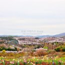 현대오일뱅크 로타리주유소 이미지