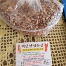 백년인삼