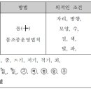 '자전 동작'수련의 목적 - 정상적인 '돔'을 방해하는 에너지들 이미지