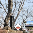 월영동134 | 마산 청량산 해양전망대_마산 등산 초보코스 청량산 주차장 정보