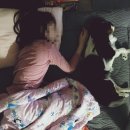 엘리네집 이미지