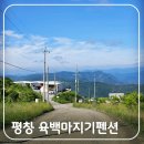 은하수펜션민박 | 평창 육백마지기 펜션 숙박 후기, 해발 1100m 가장 가까운 숙소