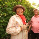 송전마을(송전) 이미지