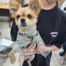 효성카클리닉 이미지