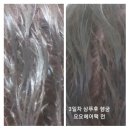 요요헤어 - 서구 | 요요헤어