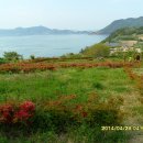 하화도 꽃섬길 민박 티스토리