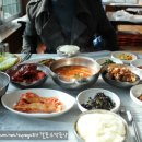 황소백반 Daum카페