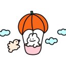 스타워시존