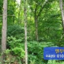 분당-137 이미지