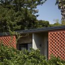 제주토끼 이미지