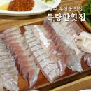 득량만횟집 | 광주 말바우시장 맛집 또또또간집 가성비 좋은 횟집 득량만횟집