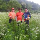 이수건축사사무소 이미지