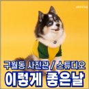 구월밝은눈안경원 | 구월동 사진관 이렇게 좋은 날 구월점 반려견 폼스키 인생 샷 성공