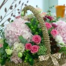 메리엘산부인과 이미지