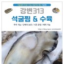 강변313
