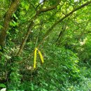 용연마을 공중화장실 이미지