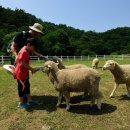 둥지목장 이미지