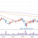 지씨셀 주가 차트,그래프,전망,추이,예측,배당 금,3분기 실적발표