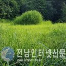 고흥군산림조합 전남인터넷신문