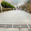 *일상생활 - 무궁화 꽃이 피었습니다* 이미지