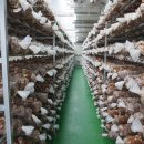 송화주식회사 이미지