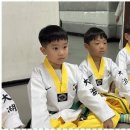 대호태권도 이미지