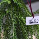 구월2동-13 이미지