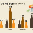 풀무원식품(주) 이미지