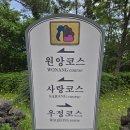 부영 | 가성비 너무 좋았던 제주 부영cc 라운드 후기