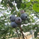 참살이농장 이미지