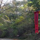 208회: 2020.10.24-25. 대청호오백리길 3구간-마산-사슴골산-개머리산-함각산 이미지