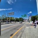 영월군보건소 | 영월 밑반찬 푸짐한 박가네 어수리 정식 건강식사 후기, 주차정보 포함