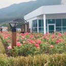 정관아쿠아드림파크 이미지