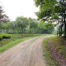 나무고아원 이미지