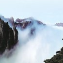 무괴아심 이미지