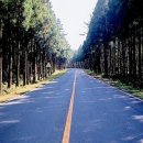 아름다운 숲길 화장실 이미지