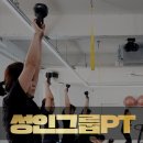 운동하는코끼리 이미지