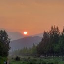 사림동188 | [일기] 23.07.01~16 - 뿌산 빠캉스와 도서관 일로 아주 바쁜 방학기간